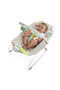 - Happy Safari Bouncer with Taggies & Melodies, 0 to 6 months - 4