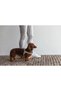 Dbl Dog Harness, Velur, Grey, S, 20mm X 52cm Zrnet - 4