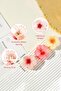 Tropical Hibiscus Strawberry Latch Buckle - 6