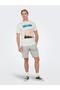 Male woven shorts cotton - 2