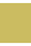 GLITTER FGNE NEW-04 GOLD RUSH - 3