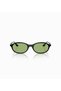 New Season Sunglasses Elliptical Round - 5