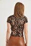 Crew Neck Stretchy Crop Blouse Leopard - 5