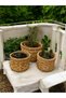 Wicker Mini Set of 3 10X10/10X15 Home Decoration Kitchen Bathroom Living Room Garden Design Decor Arrangement - 3