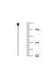 Bulk Needle Black 100 Pieces - Scarf and Shawl Needle Multi-Purpose Engagement Wedding Circumcision Jewelry Needle - 4
