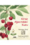 Kiraz Ağacındaki Kuzu - 2