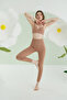 Mink Seamless High Waist Recovery Leggings