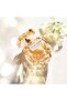 Le Parfum Lumiere Edp 50ml - 5