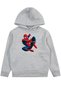 Boy's Seasonal Hooded Sweatshirt Hoodie 5 6 7 8 9 10 11 12 Years Batman Superman Spiderman