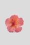 Tropical Hibiscus Strawberry Latch Buckle - 2