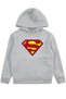 Boy's Seasonal Hooded Sweatshirt Hoodie 5 6 7 8 9 10 11 12 Years Batman Superman Spiderman