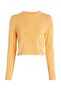Women Sweaters