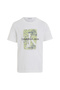 Boys T-Shirts