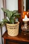 Wicked Basket Flower Pot Garden Balcony Home Living Room Kitchen Multi-Purpose Organizer - 5