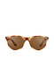 DK3272COL04 نظارات شمسية للرجال