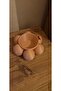 شخصية البوكيمون exeggcute على شكل وعاء - 5