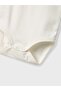 Nbfdine Ls Body Box - 2