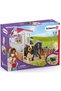 Set figurine Schleich