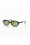 New Season Sunglasses Elliptical Round - 4