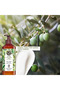 Moisturizing Body Lotion - Refreshing Olive Citrus - 390ml - 3