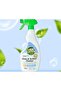 Glass and Surface Cleaner 500 ML - 6
