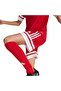 Children's Red Shorts Squa25 Sho Y Jj2416 - 5