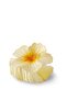 Tropical Hibiscus Strawberry Latch Buckle - 6