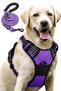 Reflective dog leash and training collar set for medium and large breeds - perfect for walking and training