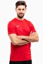 Shorts T-Shirt Suit Dri Fit Fabric Daily Training Gym Suit - 3