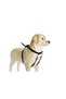 Dog Walking Training and Correction Collar, m