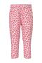 Nmfvinaya Pant