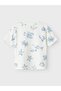 Nmmfille Ss Top Box - 4