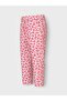 Nmfvinaya Pant - 4