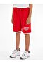 Boys Shorts - 4