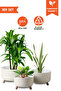 3-TEILIGER TRIPOT-BLUMENTOPF
