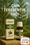 Paaye Pine Turpentine Oil – Intense and Refreshing Natural Essence