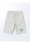 Lcw Kids Crew Neck Printed Boys T-Shirt and Shorts 2 Pack (S5) - 4