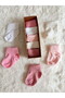 Box of 5 Curved Baby Socks, 0-6 Months Cotton Socks