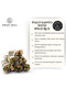 Palo Santo with Wild Rue Smudge Stick - Pack of 3 stick - 5
