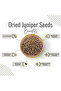 Juniper Seeds | Juniperus Monosperma - Bottle of 100 gram / 3.5 Oz - 3