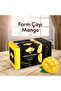 Çayı African Mango Active Çayı