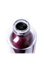 Cats Water Bottle - 5