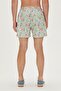 23.01.09.006-c04 Parrot Men's Swim Shorts - 3