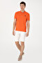 Pomegranate Flower Slim Fit Polo Collar Basic Polo Shirt 50305929-VR039 - 4