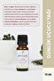 Günlük Uçucu Yağı 10 Ml