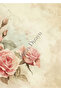 Kuromi54 20Pcs Vintage Retro Rose Floral Pattern A4 Love Letter Paper Illustrated A4/ 6 Different Patterns - 6