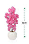 Round plastic pot rose tree
