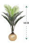 Areca tree (7 branches) in a round plastic container