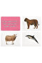 Implicit groups - farm animals and birds - forest - sea - 5