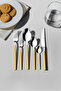 Dalyan Gold Satin 12-Person 72 Piece Boxed Cutlery Set